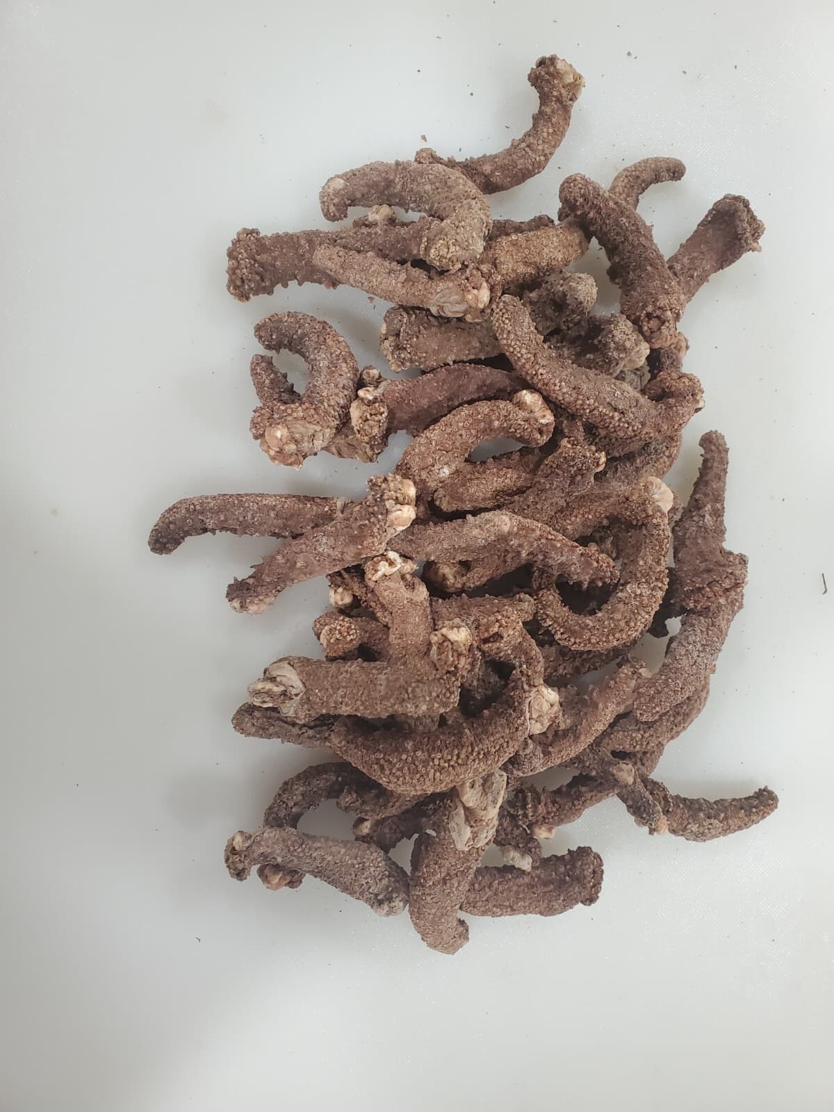 Dried Wild Red Alaska Sea Cucumber Ocean Run 1 LB (Small, Medium) 6