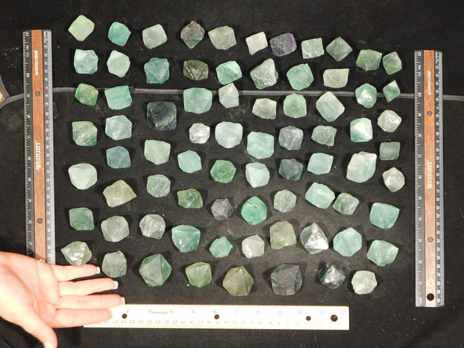 Over One Pound! or 500 Grams! Fluorescent FLUORITE Octahedron Crystals 5