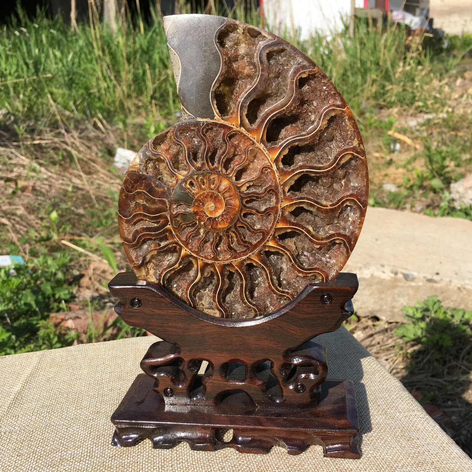 A pair of Natural ammonite fossil conch Crystal specimen healing+stand2PC  2