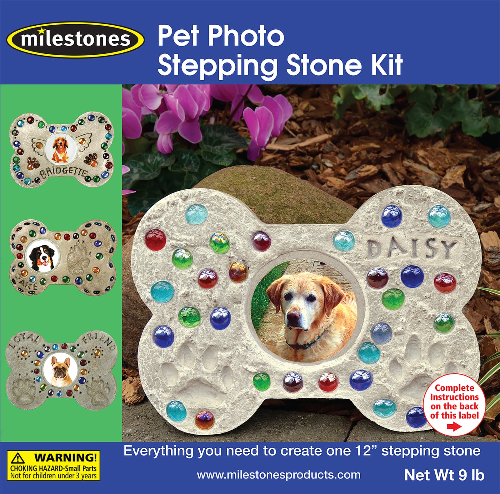 Mosaic Stepping Stone Kit-Pet Photo (Pack of 1)