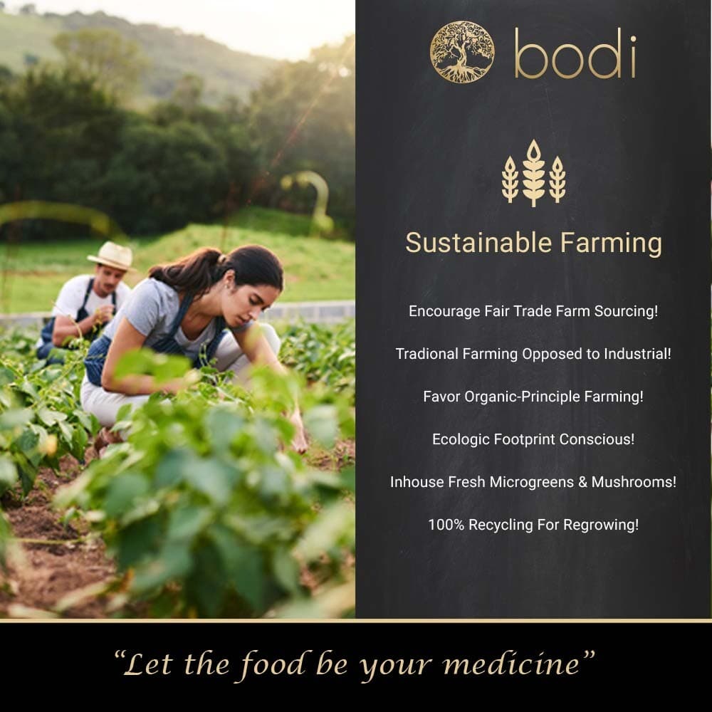 Korean Red Ginseng Root Panax Powder 100% Pure Natural Hand Crafted 6