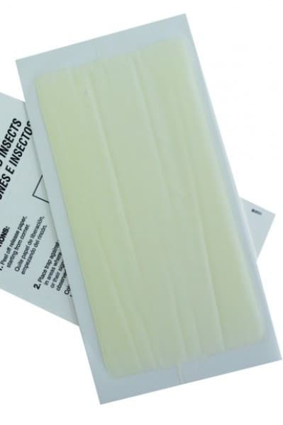 12 Cockroaches Spiders BedBug Scorpion Silverfish  Insect Traps Sticky Bug Traps 2