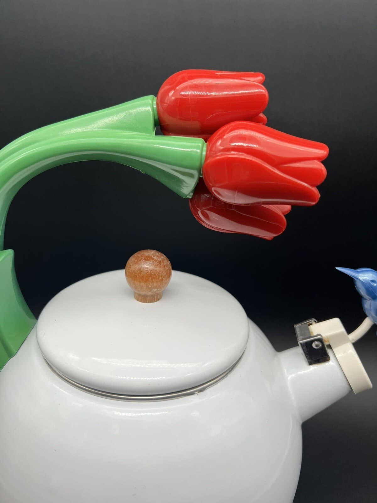 Enamel Metal Teapot Kettle With Tulips Handle And A Humming Bird. 4