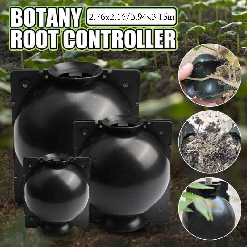 S ×10 Plant Rooting Devices Growing Grafting Box High Pressure Propagation Ball 5