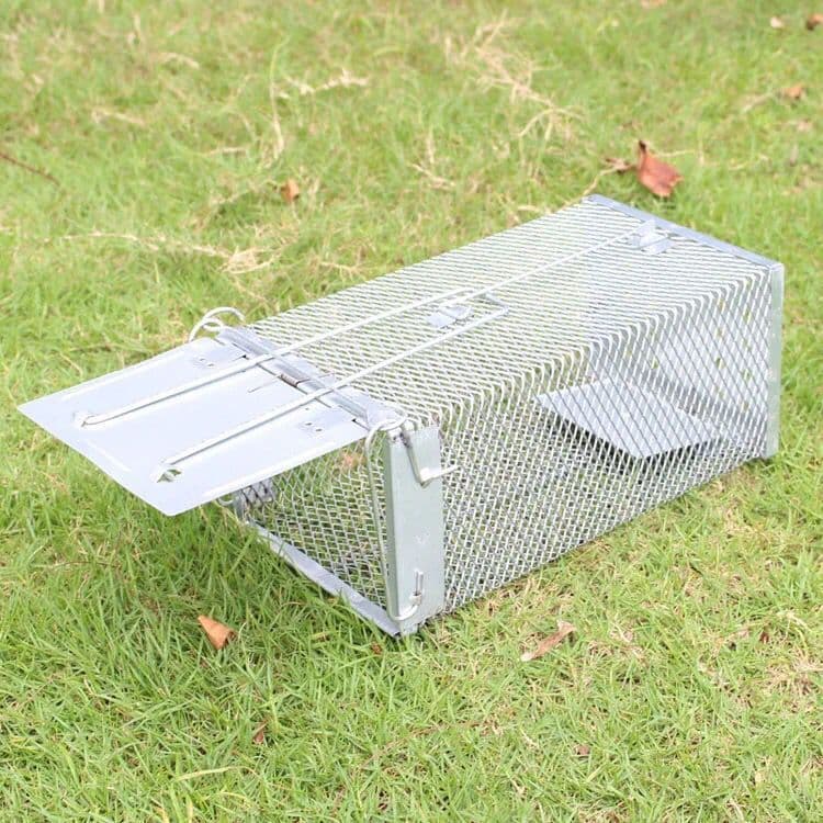 Live Humane Cage Trap for Squirrel Chipmunk Rat Mice Rodent Animal Catcher 5