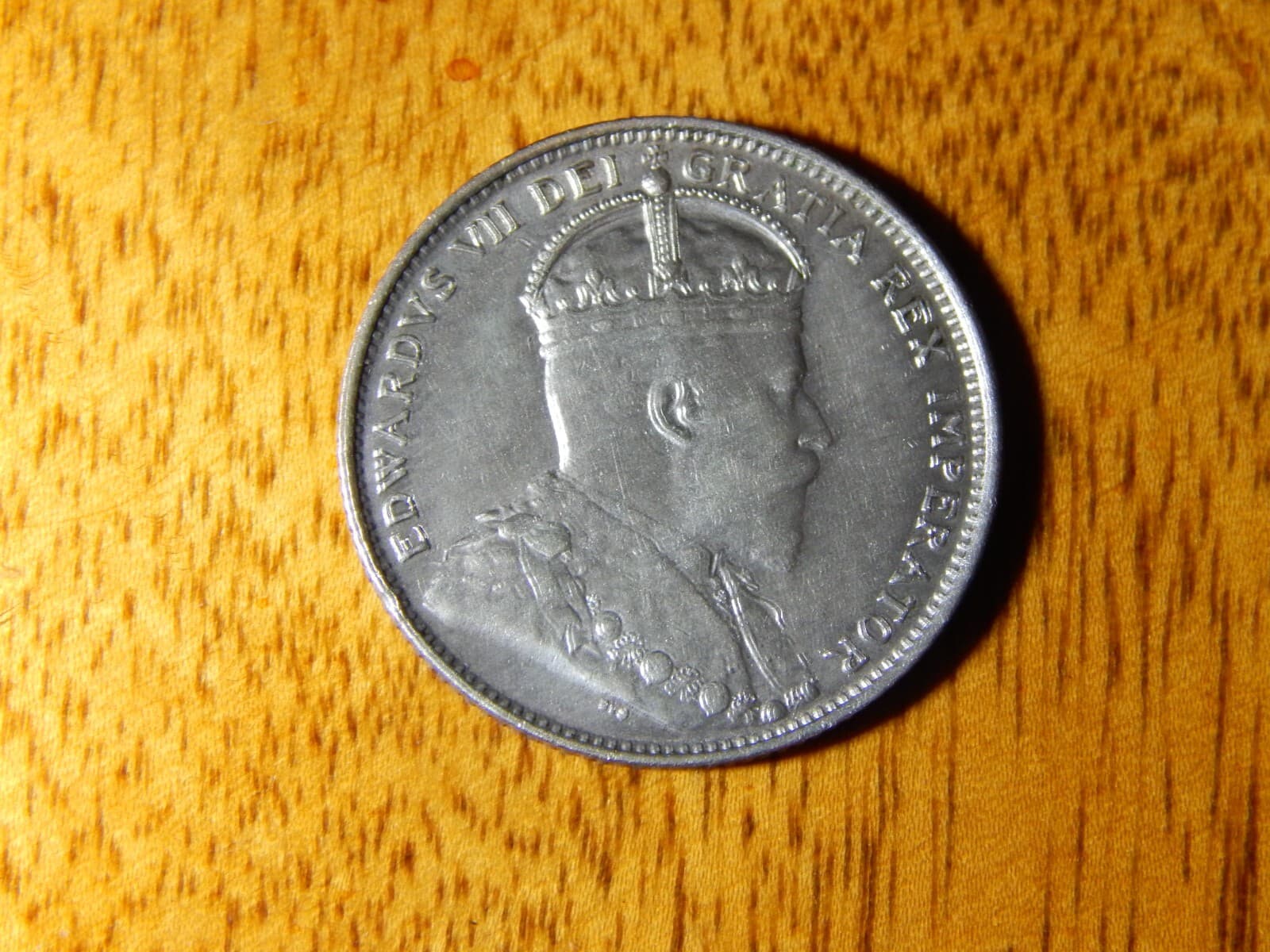 1904 newfoundland 20 cents (Die Lamination Error on Coin)