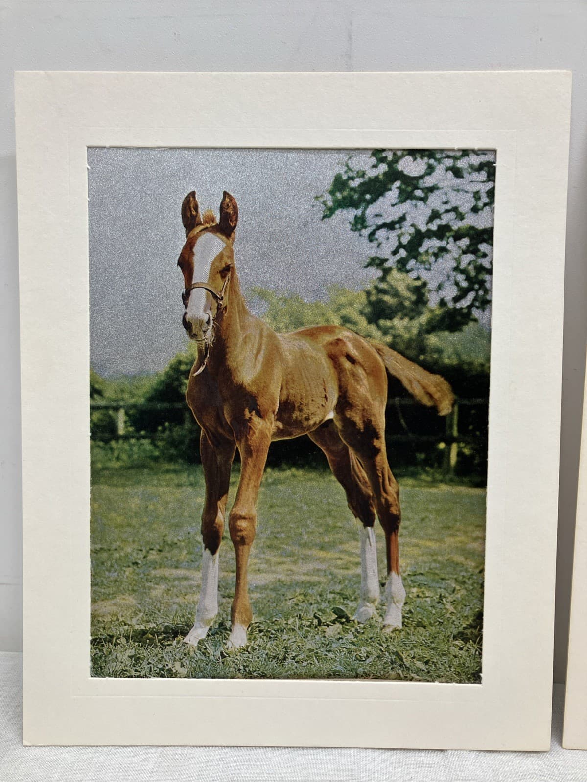 2 Vintage Dufex Foil Prints Horse & Foal 10”x8” Vintage Ponies 2