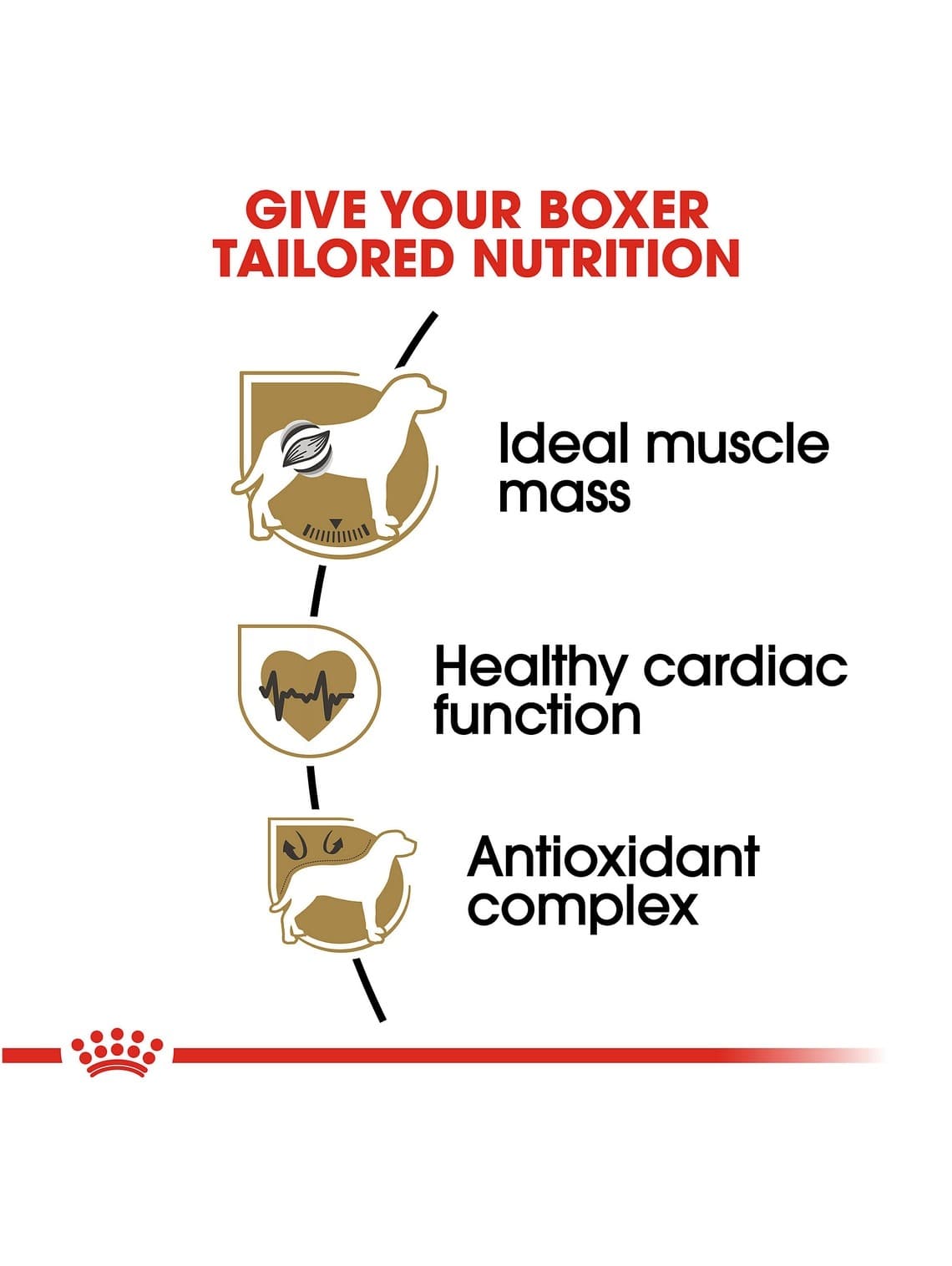 Royal Canin Breed Health Nutrition Boxer Adult Dry Dog Food, 30 lb Bag 4