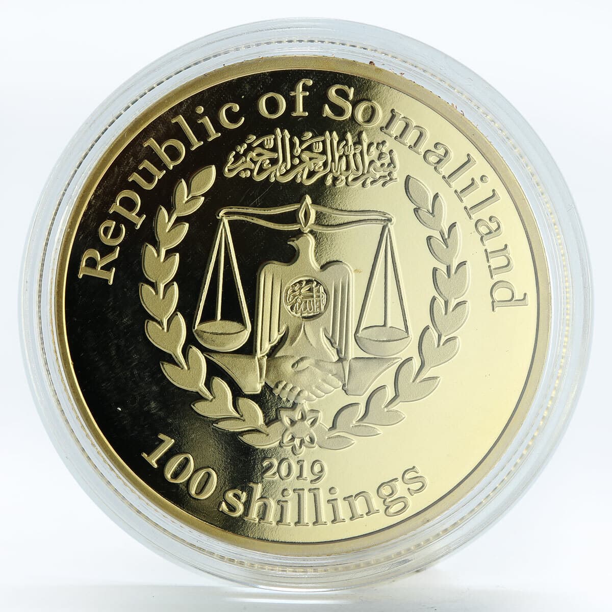 Somaliland 3D Sculpture Coin, American Eagle, 100 Shillings, Bird, 2019 4