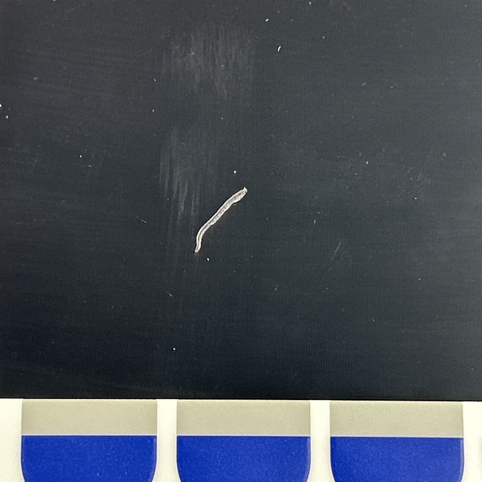 Control Panel / Display (6320)  for Eppendorf Vapo Protect Pro Thermocycler 6