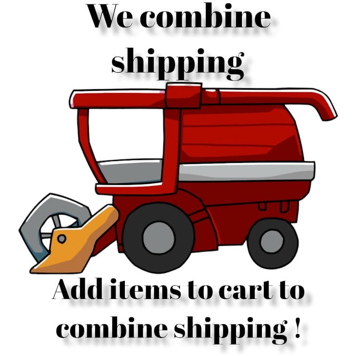 Rock N Roll Pinback Button Hat Pin Back Quiet Riot 4