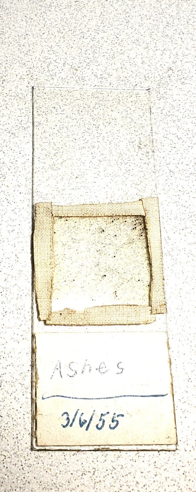 Antique Bausch & Lomb Early 19th Century Brass Junior Telescope W/ Slides.  4