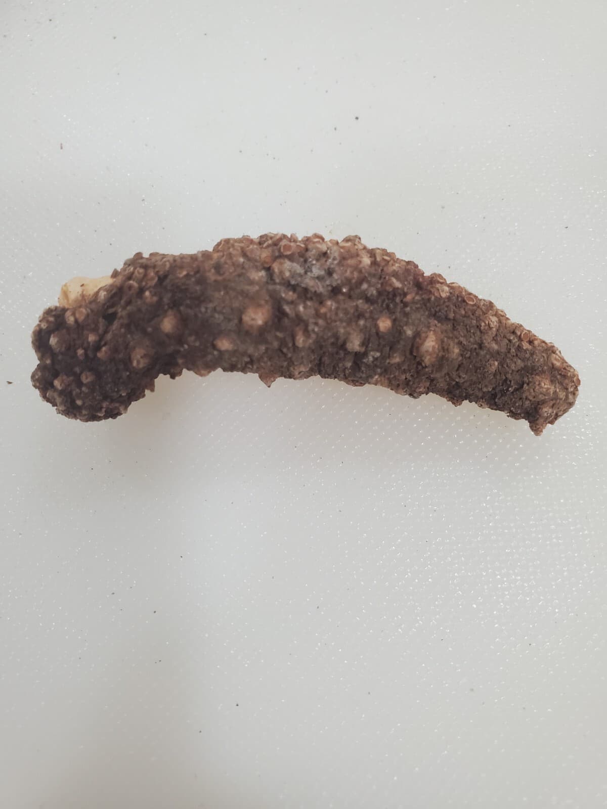Dried Wild Red Alaska Sea Cucumber Small 1 LB ( 46-55 count) 2