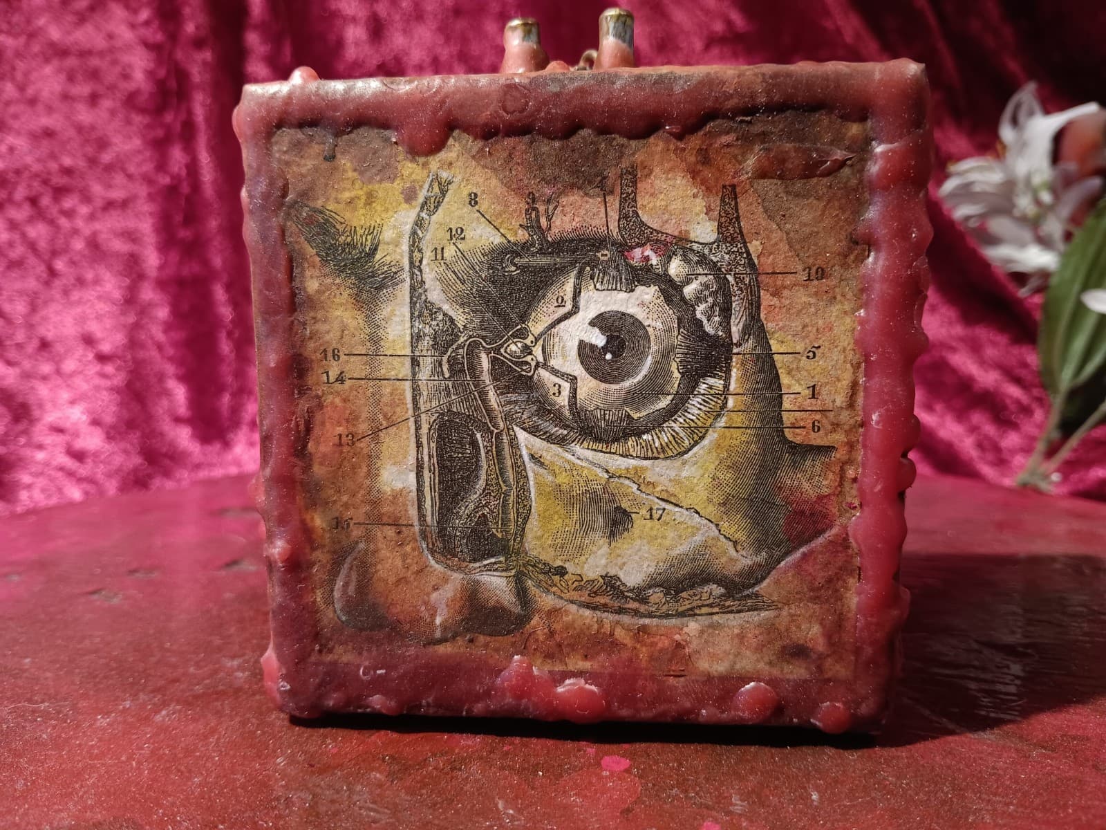 ANATOMICAL DYBBUK BOX ▪︎ Heal Mind Sick Inflict Curse • sealed in wax doom PAIN 2