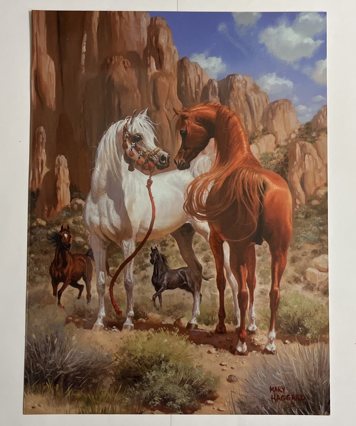COVER ONLY * 2001 SCOTTSDALE ARABIAN HORSE SHOW PROGRAM FROM MARY HAGGARD PRINT