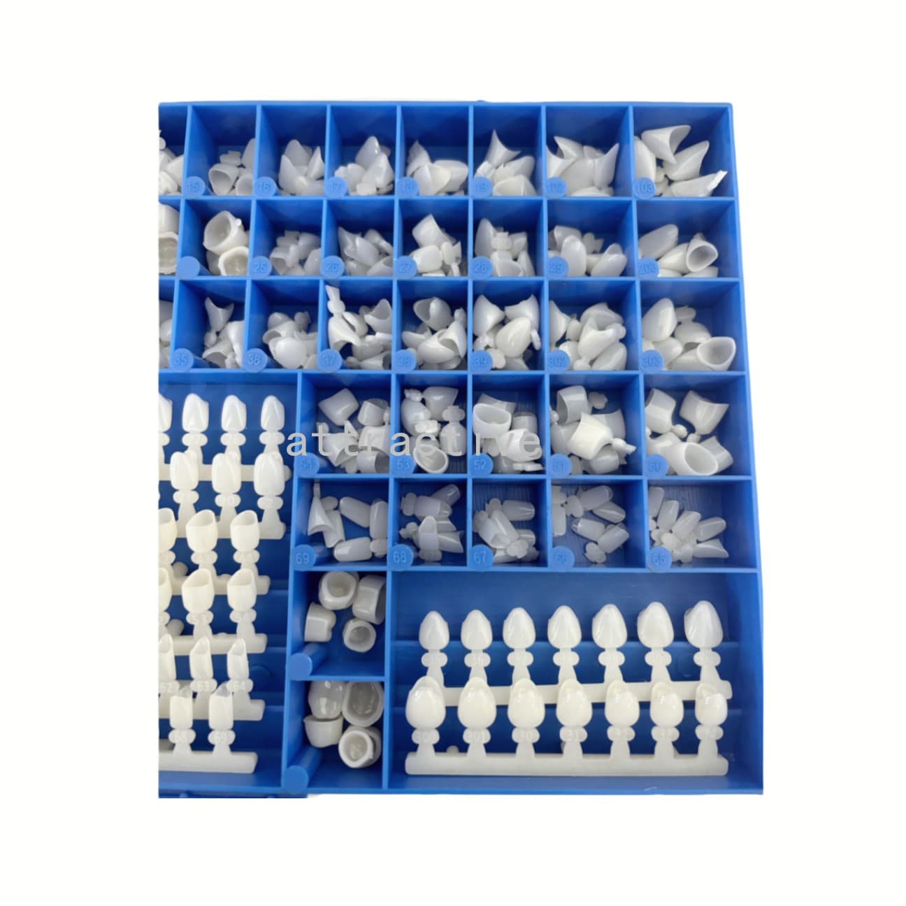 390Pcs Temporary Dental Crowns 66Size Crown Mold Guides Premolar Molars Anterior 6
