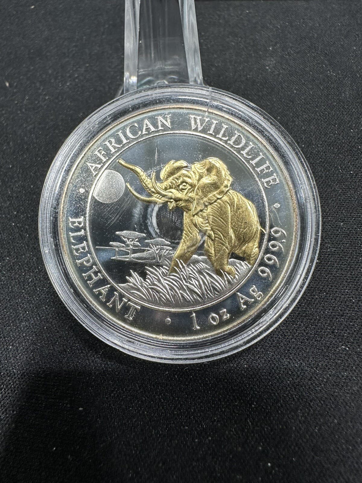 2016 Somalia Elephant African Wildlife 1 Oz Pure Silver Gold Gilded