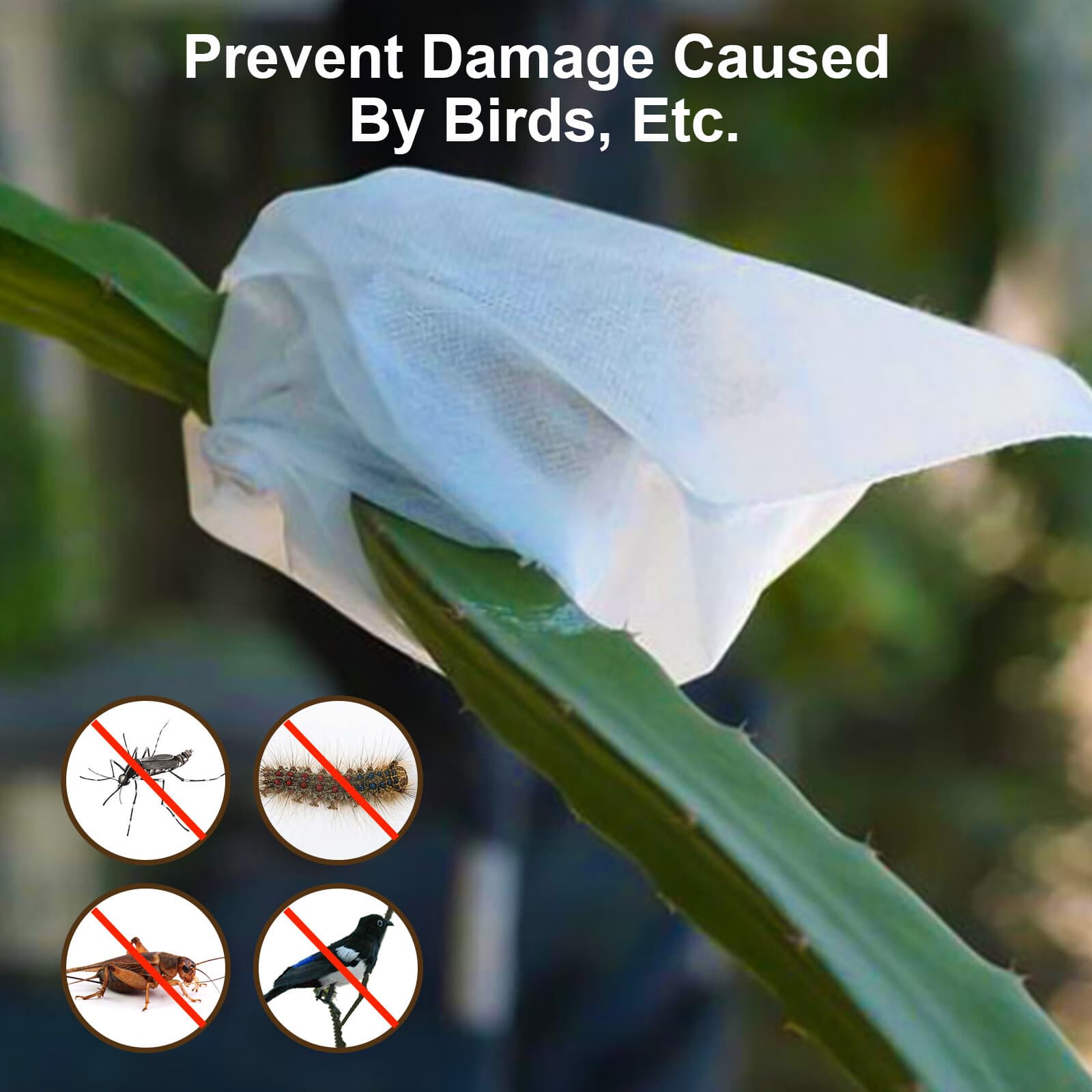 100PCS Garden Plant Fruit Vege Protect Drawstring Bags Against Insect Pest Bird 3