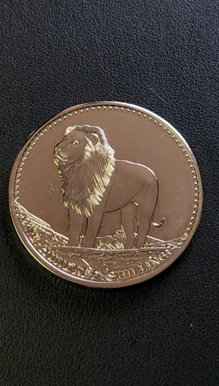2013 Somali Republic Lion - Animals Lion Somali ~ UNCIRCULATED 
