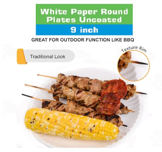 600 Pack White Uncoated Paper Plates Diameter Recyclable Microwave Safe 9" Inch 5