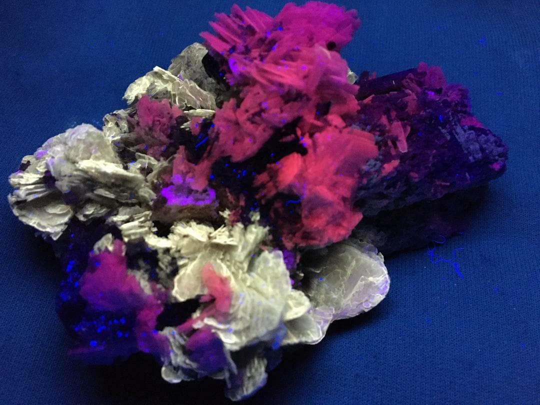 KB: FANTASTIC! GREAT SW FL. POLYLITHIONITE/LEUCOPHANITE/ALBITE, QUEBEC, CANADA 3