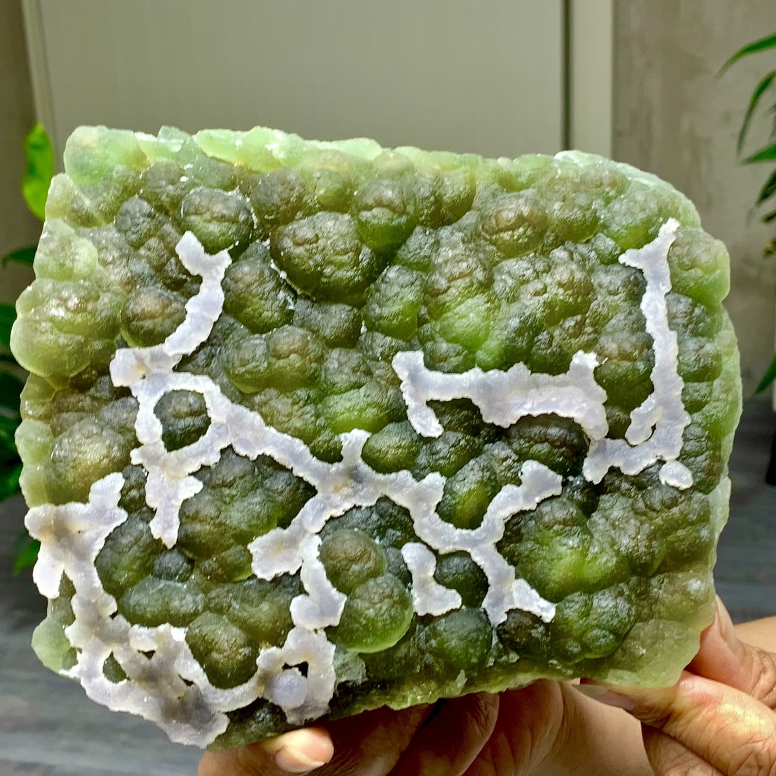 3.7LB Natural Fluorite Green-white dual color crystal mineral Specimen,Zhejiang 6