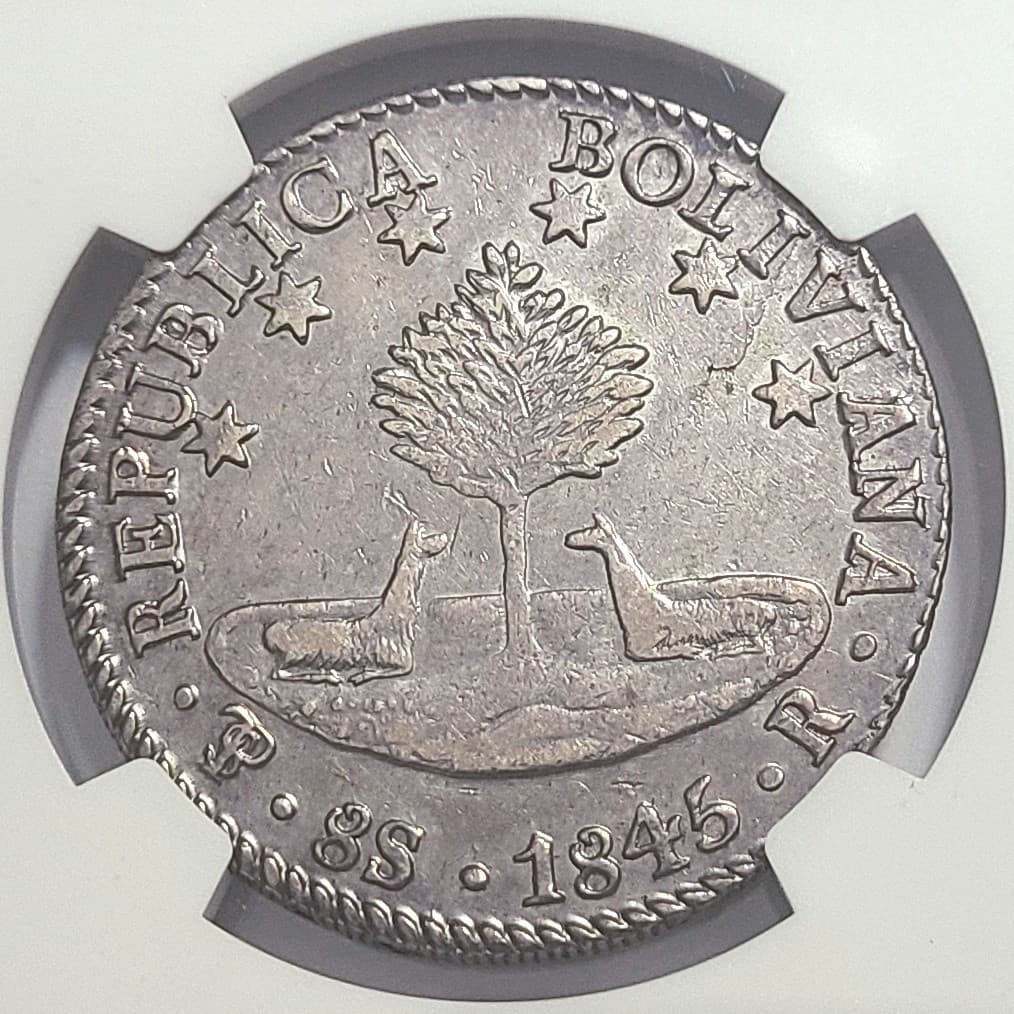1845-PTS R BOLIVIA SILVER 8 SOLES NGC AU DETAILS 3