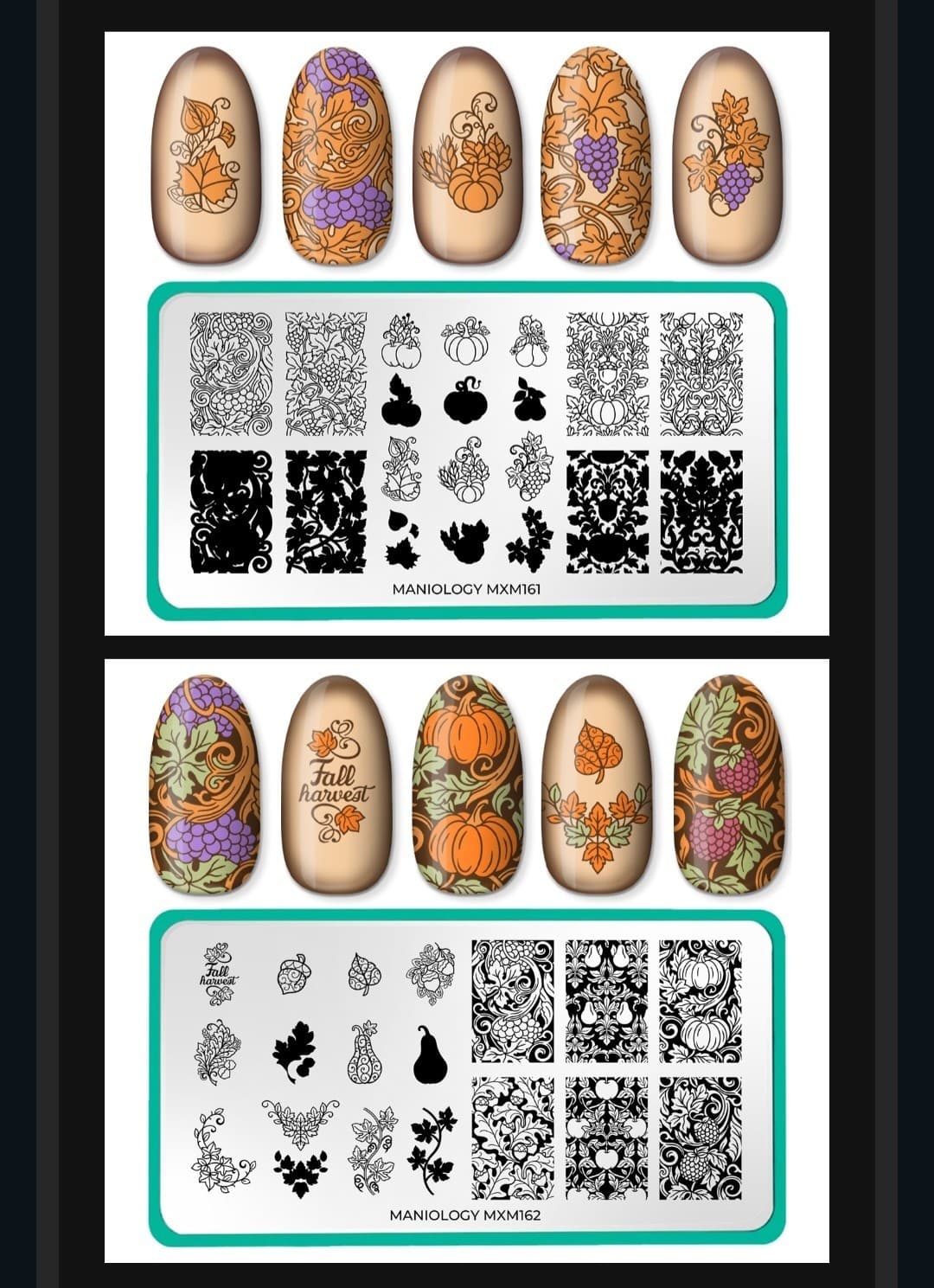 Did You Miss It? Maniology 2025  October MxM Box Golden Harvest