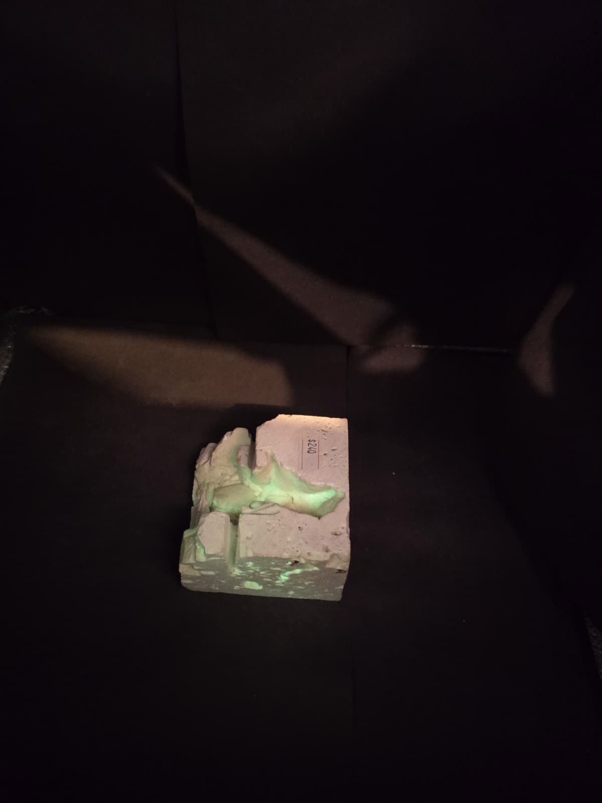 Travertine crab fossil 6