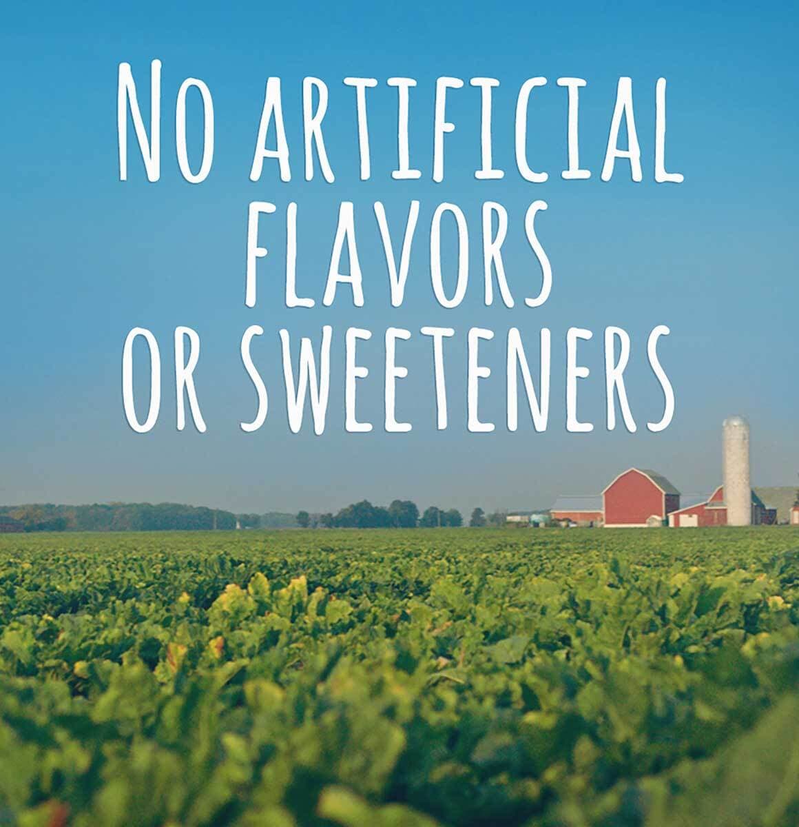 Gerber Fruit & Veggie Melts Very Berry Blend Baby Snack – 1 Oz – Pack of 3 6