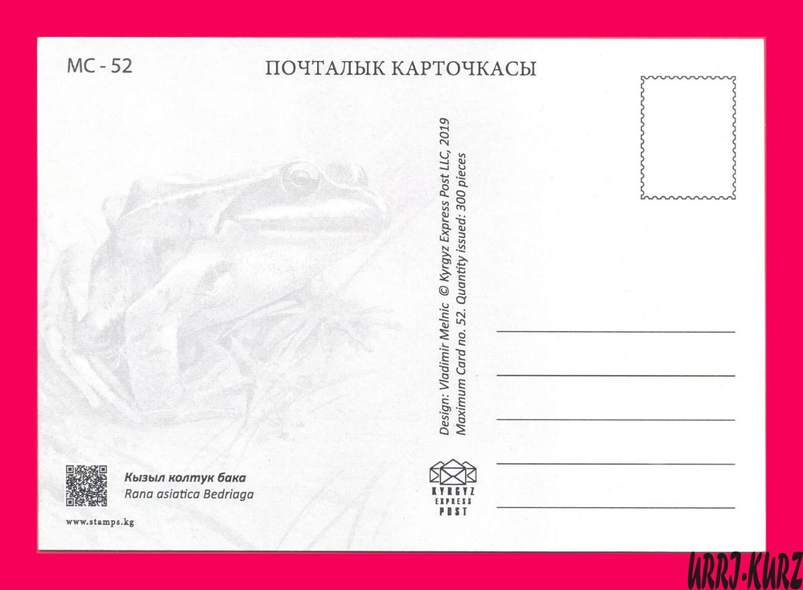 KYRGYZSTAN 2019 Nature Fauna Animal Reptile Amphibian Frog Maxicard Maximum Card 2