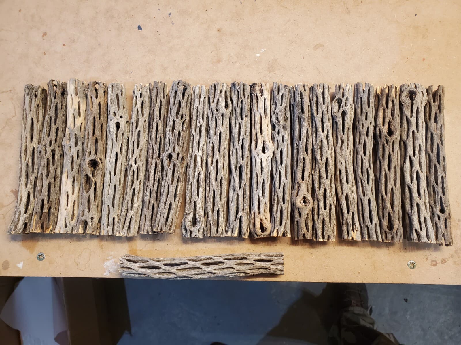 20 pcs 6" inch CHOLLA Wood Cactus | ORGANIC, Untreated | Shrimp Aquarium CRAFTS! 3