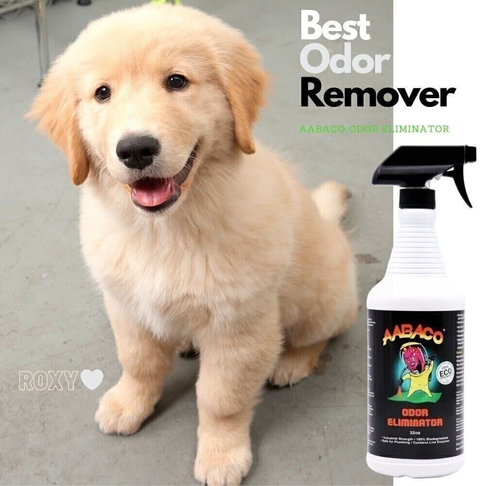 PET ODOR ELIMINATOR AND STAIN REMOVER INDUSTRIAL STRENGTH-ENZYME CLEANER 4