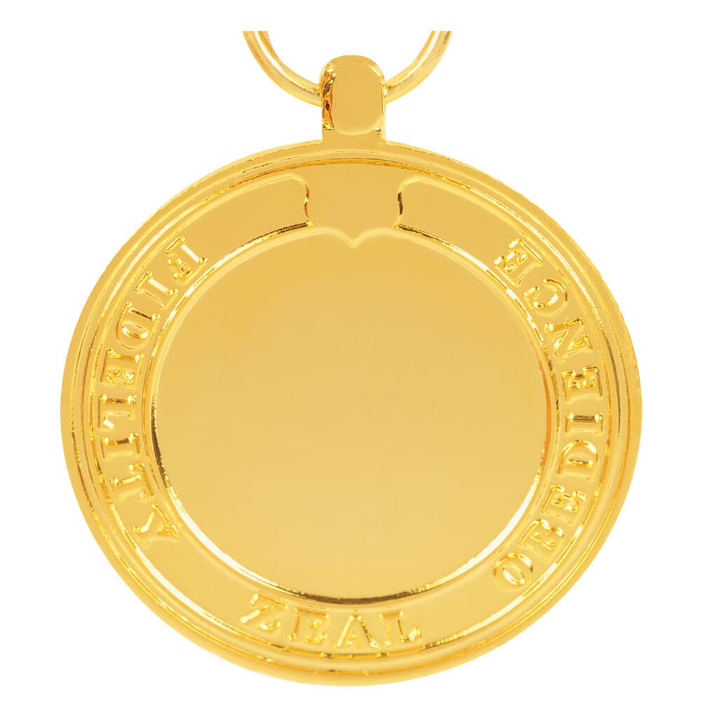 Selected Marine Corps Reserve Medal Anodized Full Size 2