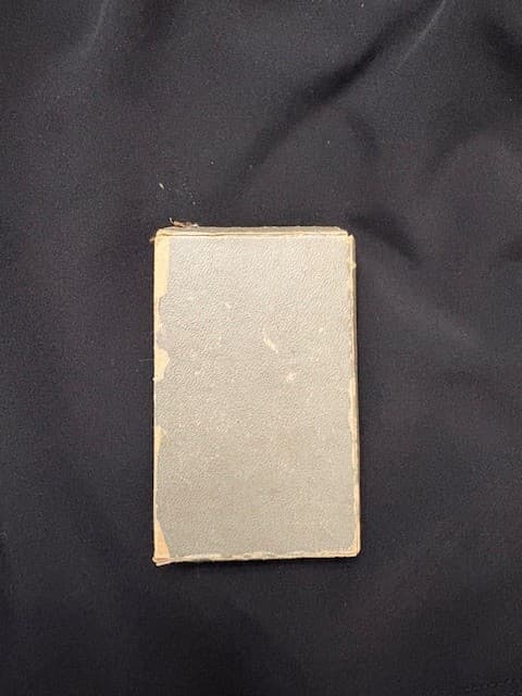 BOY SCOUTS  BROCKTON FAIR 1921 Childrens Day Relay Race D&C Gold &Silversmiths 6