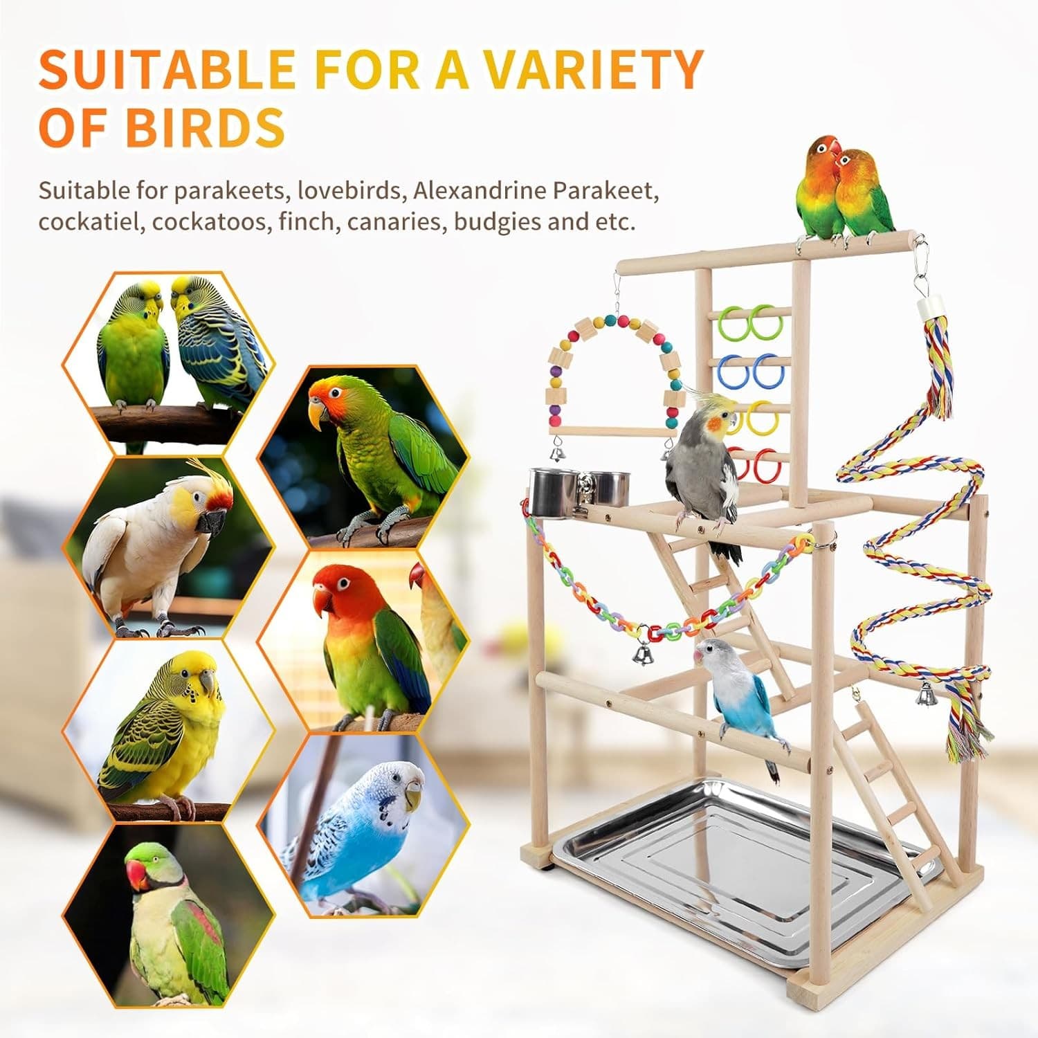 Bird Playground, Parrots Playstand for Small to Medium Birds, Perch Stand  5