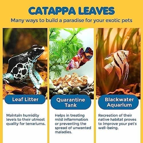 50 Pcs Mini Catappa Indian Almond Leaves for Betta Fish Aquarium, Shrimp, Frogs, 5