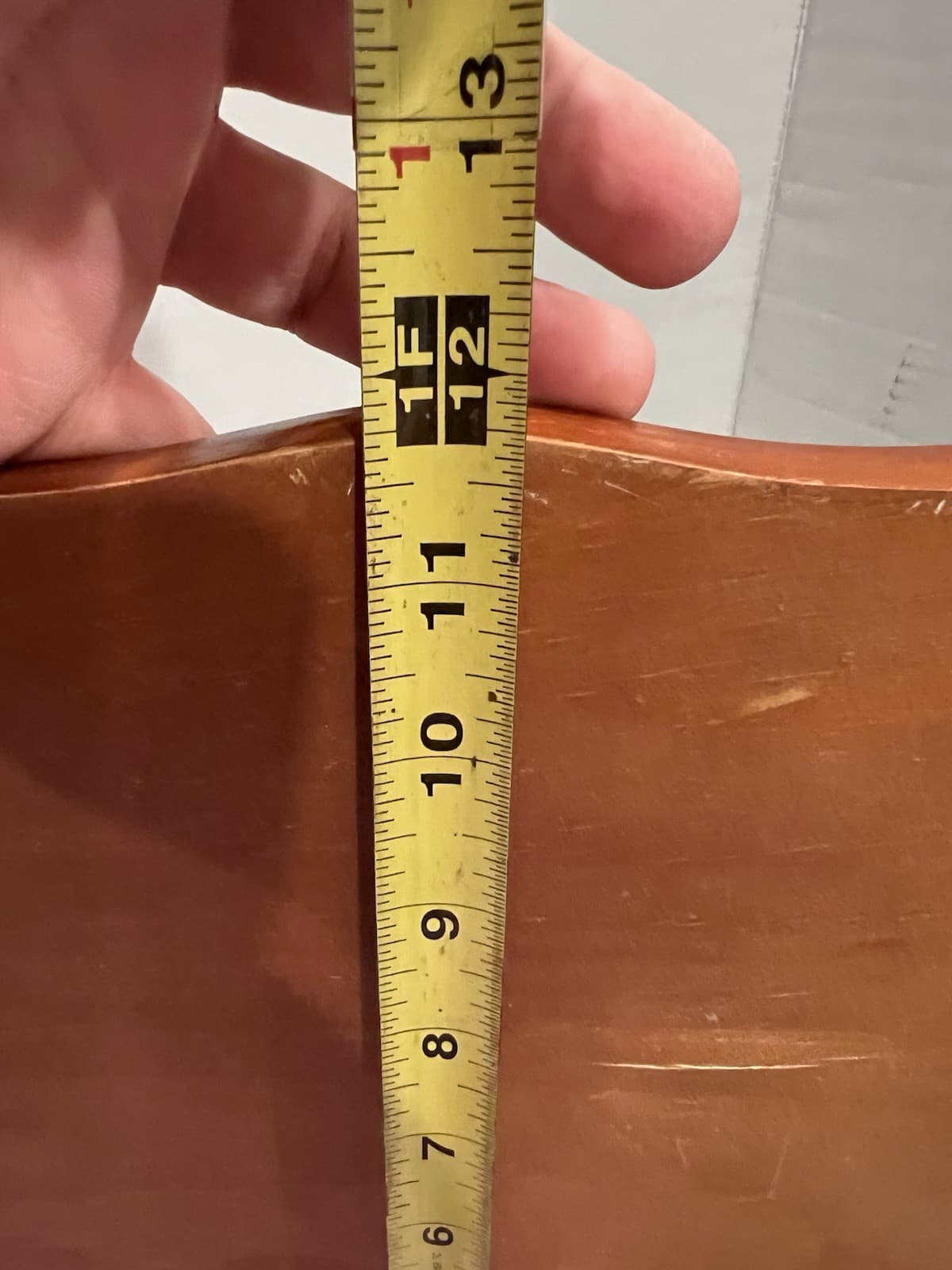 Taxidermy Plushy Animal Trophy Hunt Coat Rack Deer Bear Moose Kid Room Hunting 6