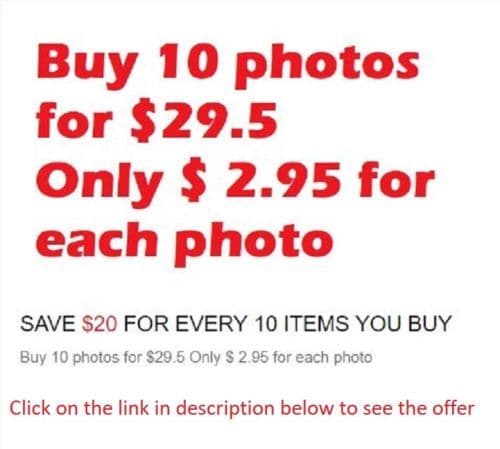 WW1 World one Photo Picture 1916 French soldier with Lebel Model 1886 rifle 3968 3