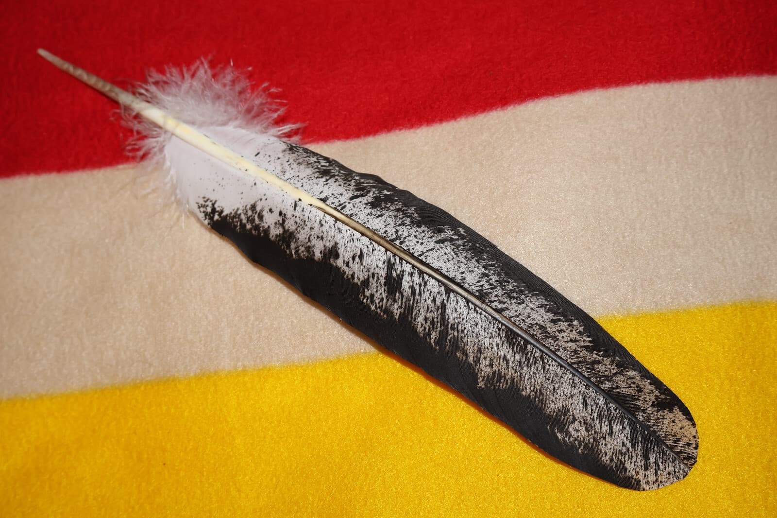 Native American-made Immature Bald Eagle Feathers Immature hand painted 6
