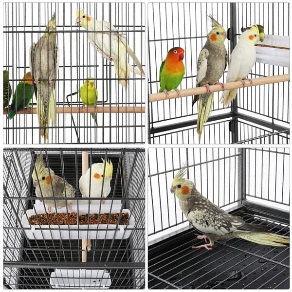 Large Bird Cage Budgie Cage 52'' Parrot Cage for Lovebird Cockatiels with Stand 4