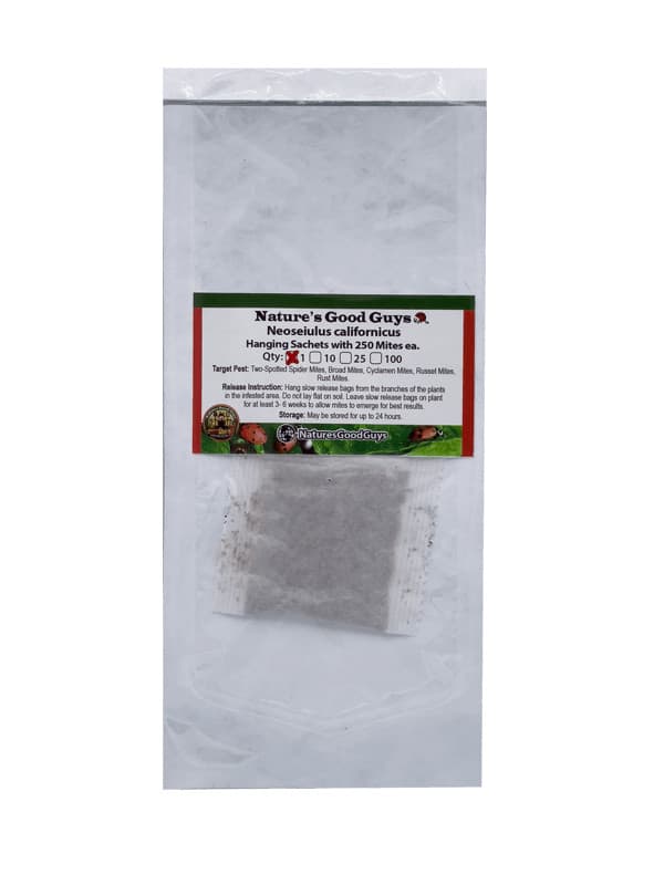 NaturesGoodGuys - Slow Release Hanging Sachets - Neoseiulus californicus 3