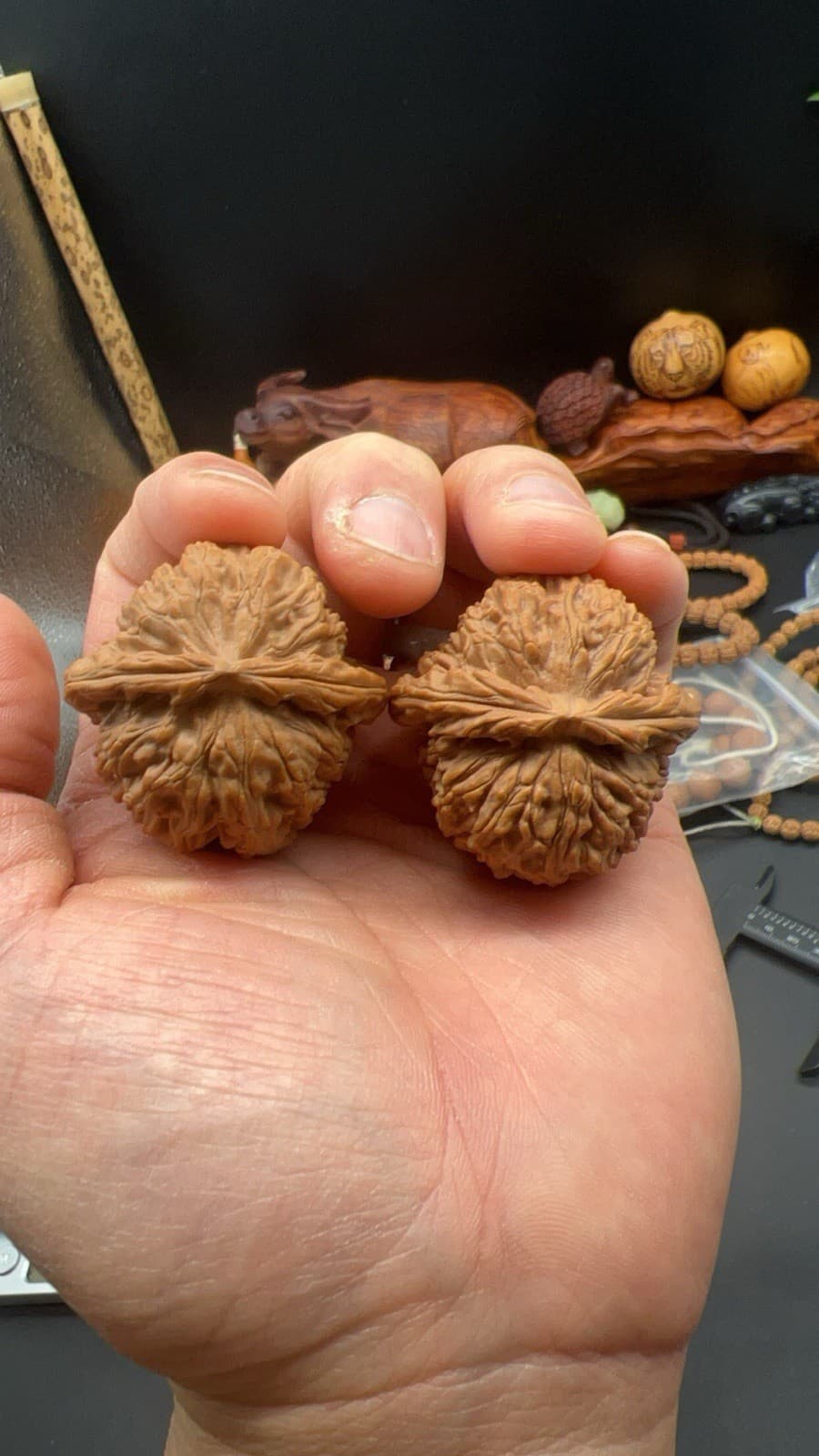 Pair of  Match Chinese Health Walnut 41.5×41.5×34mm 精配文玩核桃～闷尖白狮子 2