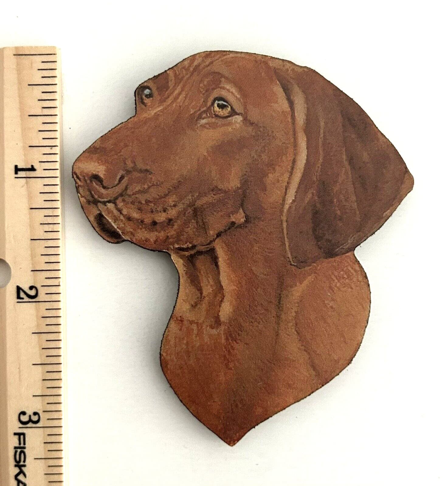 Vizsla Fridge Magnet ~ By Chuck Brown 2