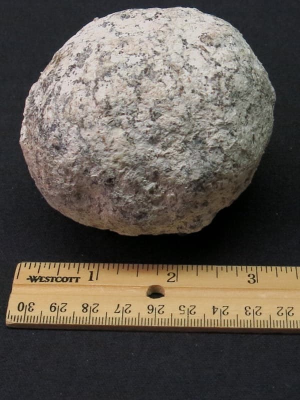 Guaranteed Hollow 3 - 3.25 Inch Diameter Break Your Own Mexican Coconut Geode