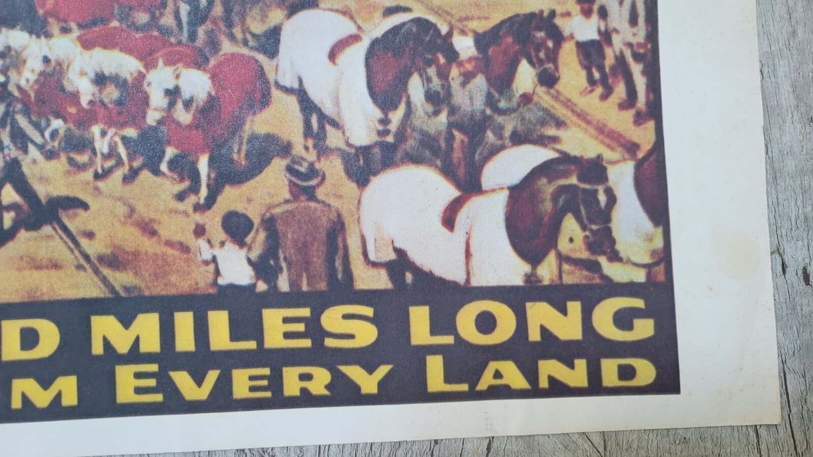 Vintage Ringling Bros Barnum & Bailey Circus Trains Poster RARE - 23.5" x 36.5" 3