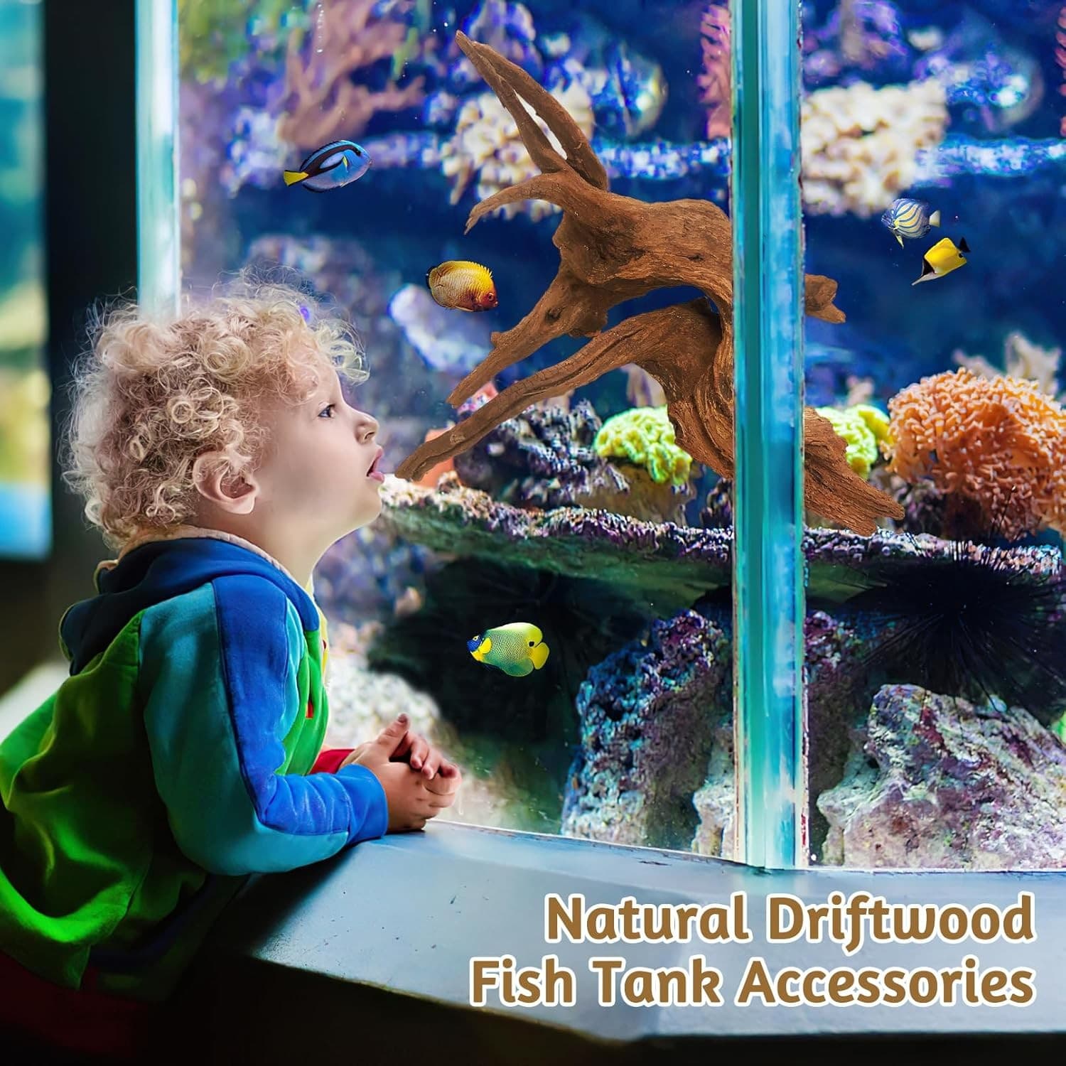 Natural Large Aquarium Driftwood 2 PCS 15"-19" for Fish Tank & Terrarium 5