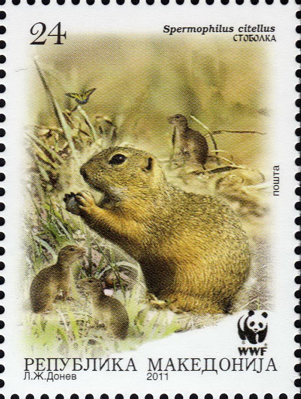 Macedonia 2011yr. - Ground Squirrel - Macedonian POST STAMP SHEET MNH WWF 5