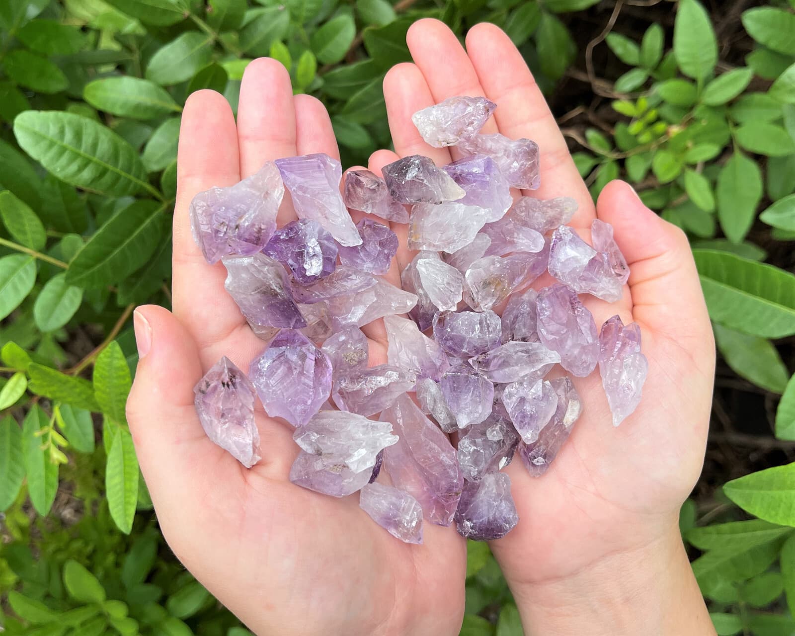 1/2 lb Bulk Amethyst & Quartz Crystal Collection in Box, Natural Clear Points  6