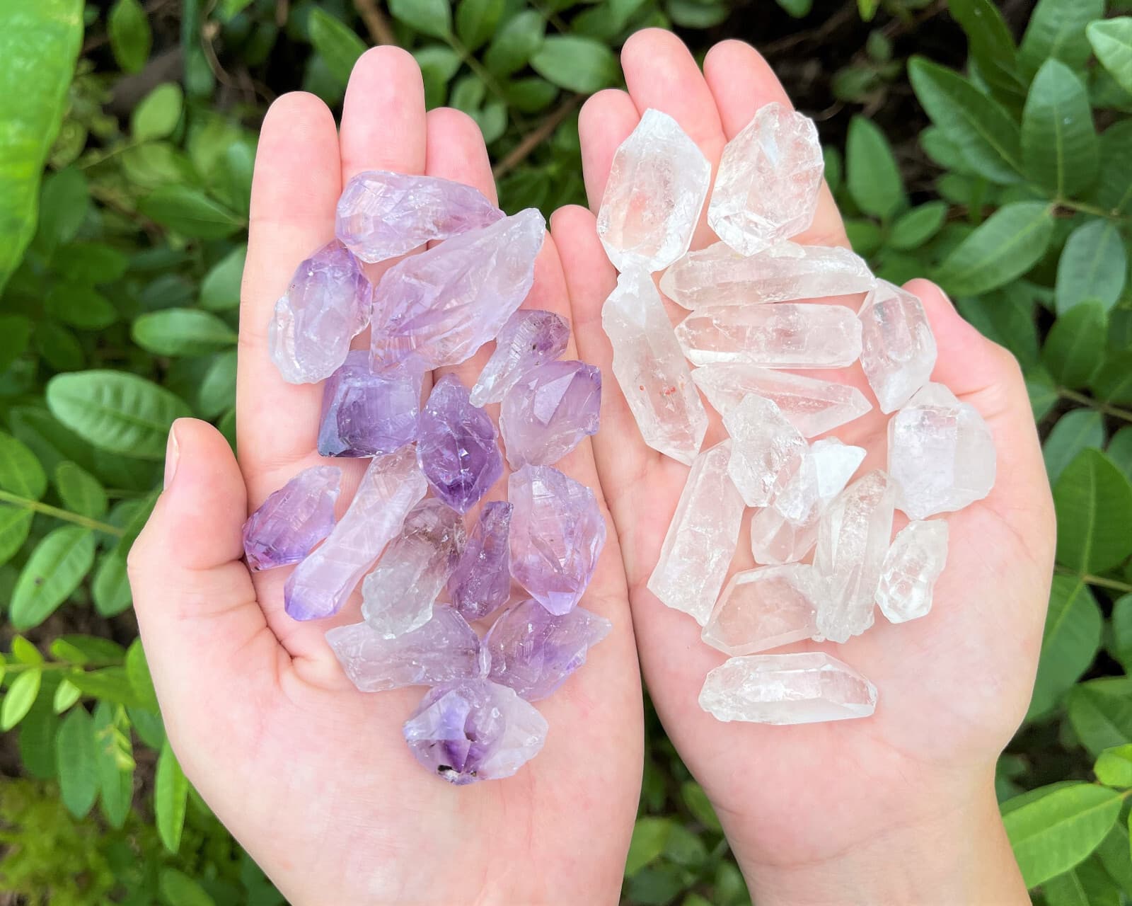 1/2 lb Bulk Amethyst & Quartz Crystal Collection in Box, Natural Clear Points  3